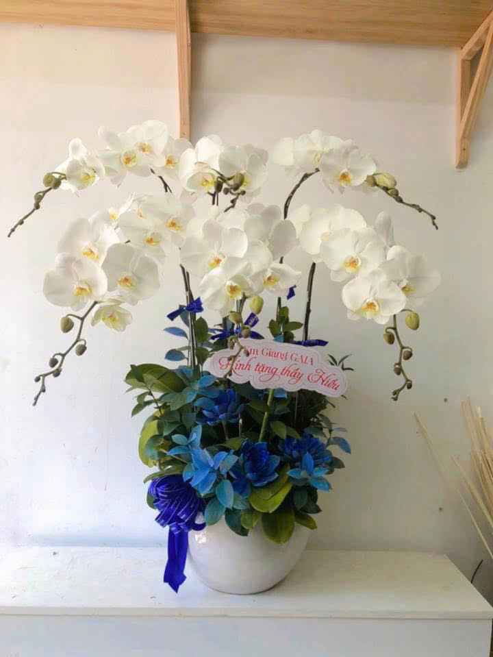 Chậu Lan thiết kế 4008