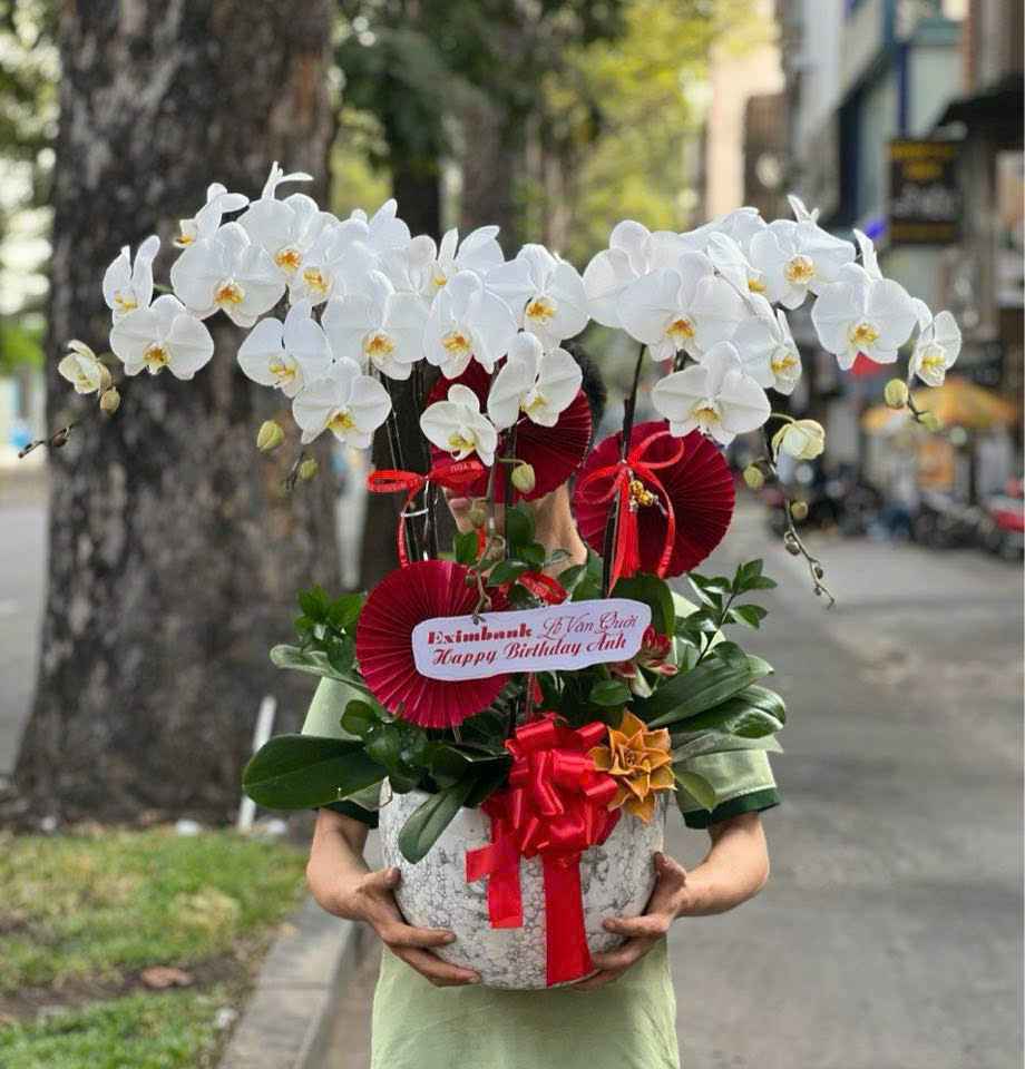 Chậu Lan thiết kế 4007