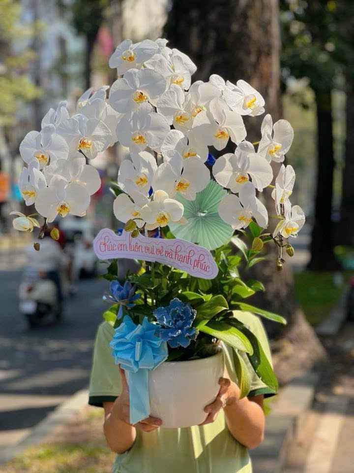 Chậu Lan thiết kế 4006