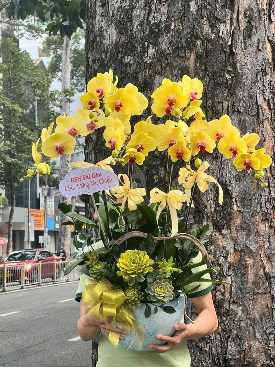 Chậu Lan thiết kế 4003