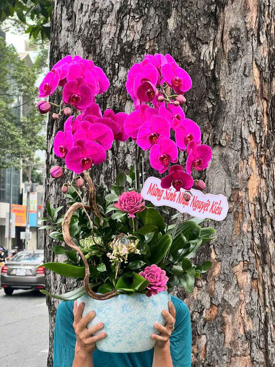 Chậu Lan thiết kế 4004