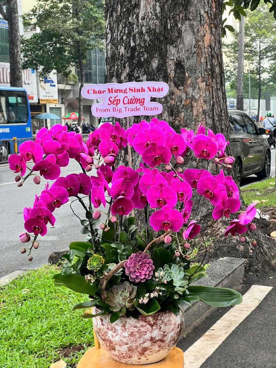 Chậu Lan thiết kế 4002