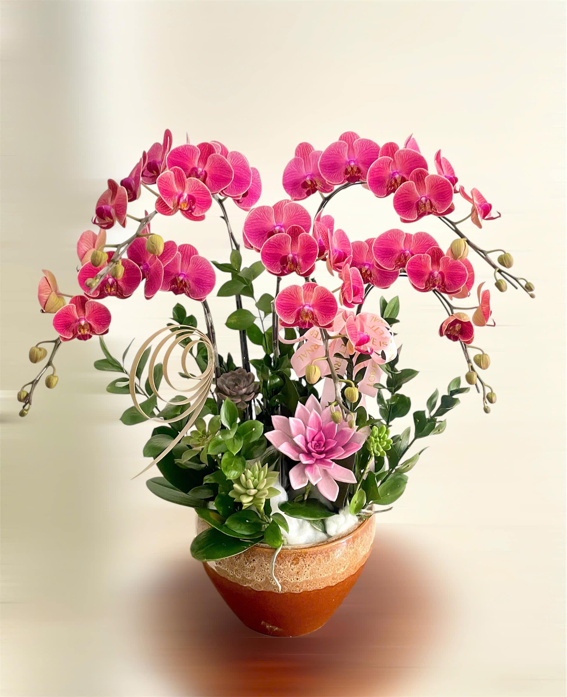 Chậu lan thiết kế 4009