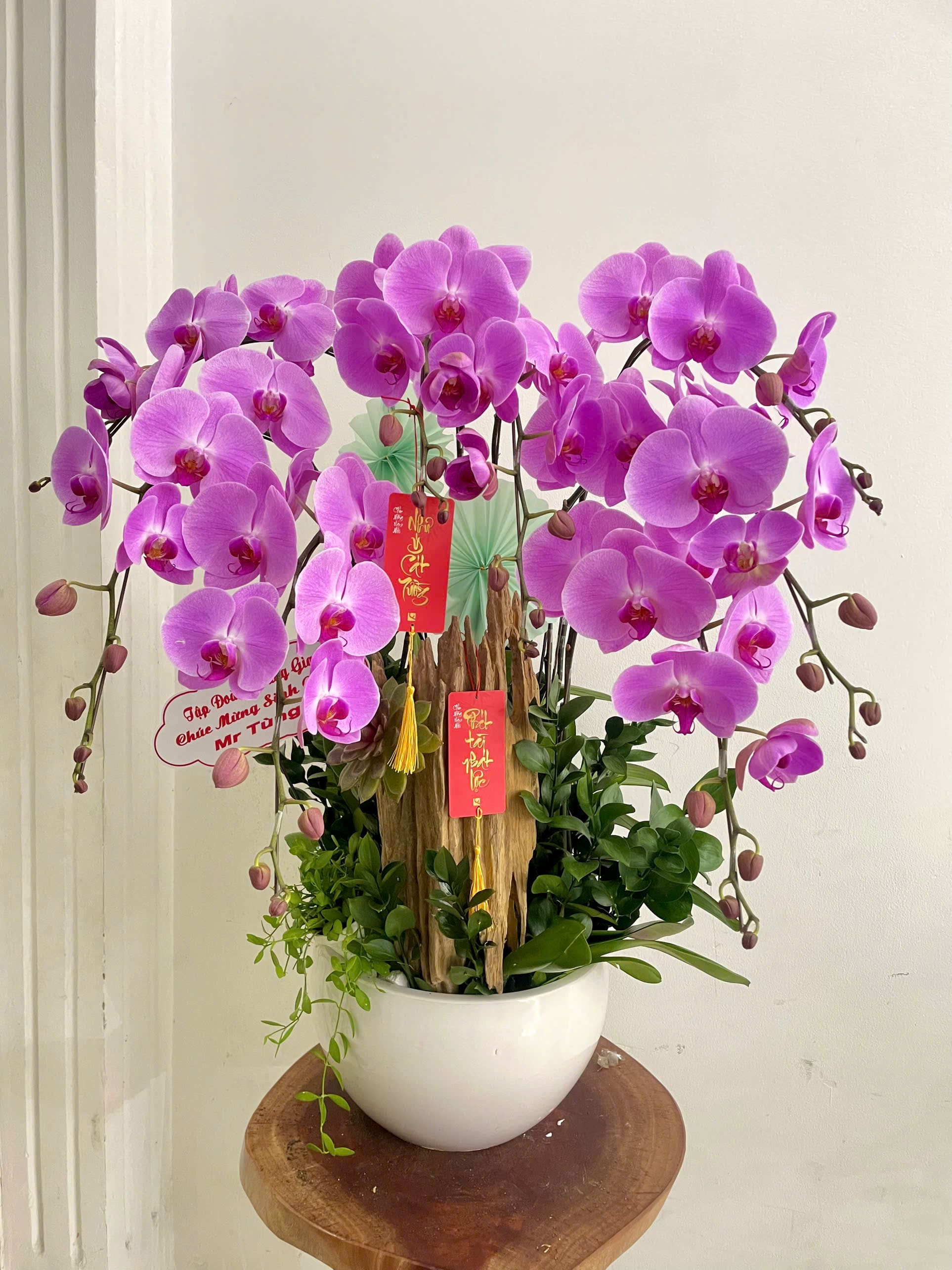 Chậu Lan thiết kế 4010