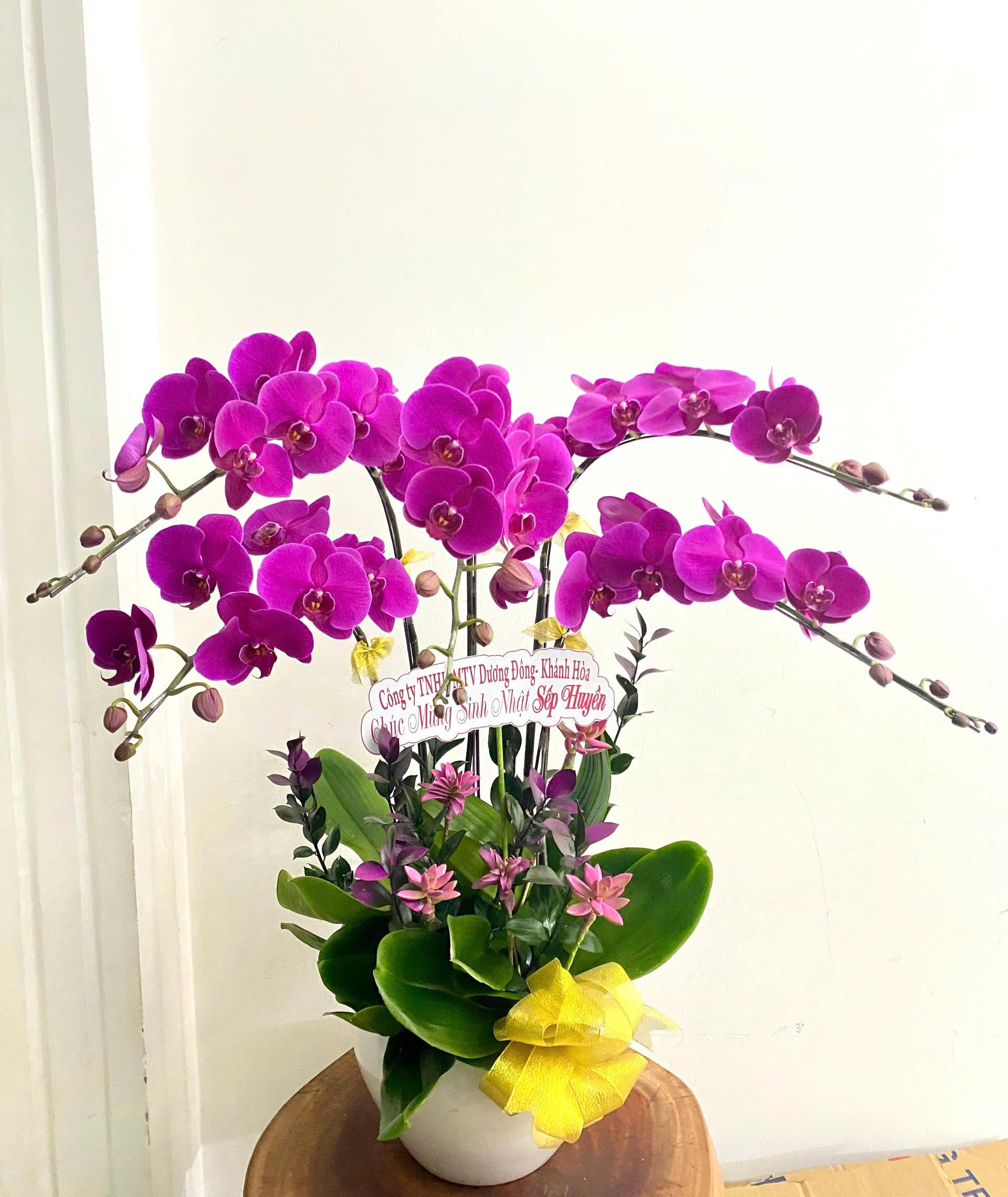 Chậu Lan thiết kế 4011