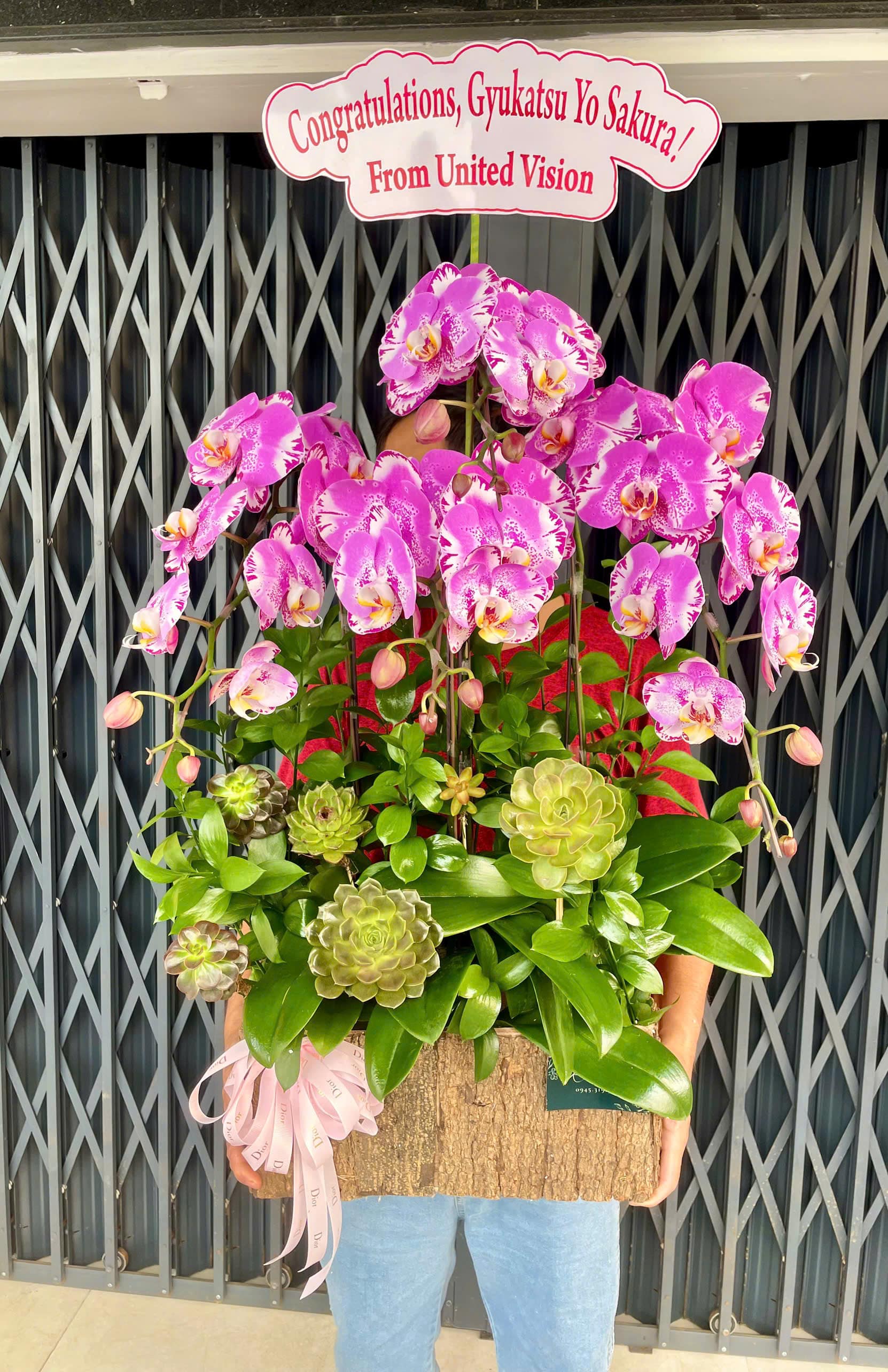 Chậu Lan 4 cành 4033