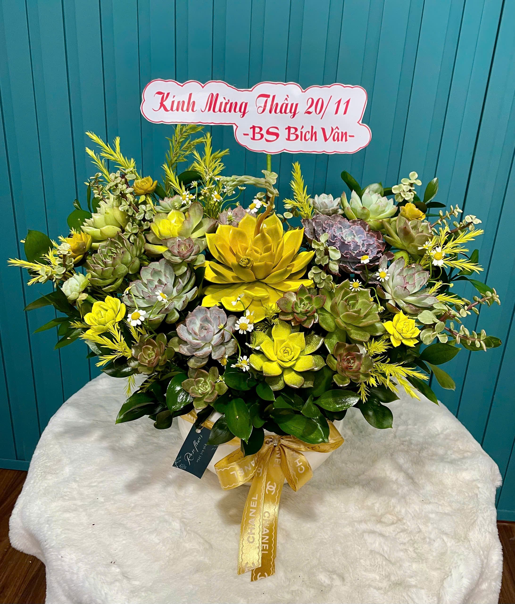 Sen đá chậu sứ 3247