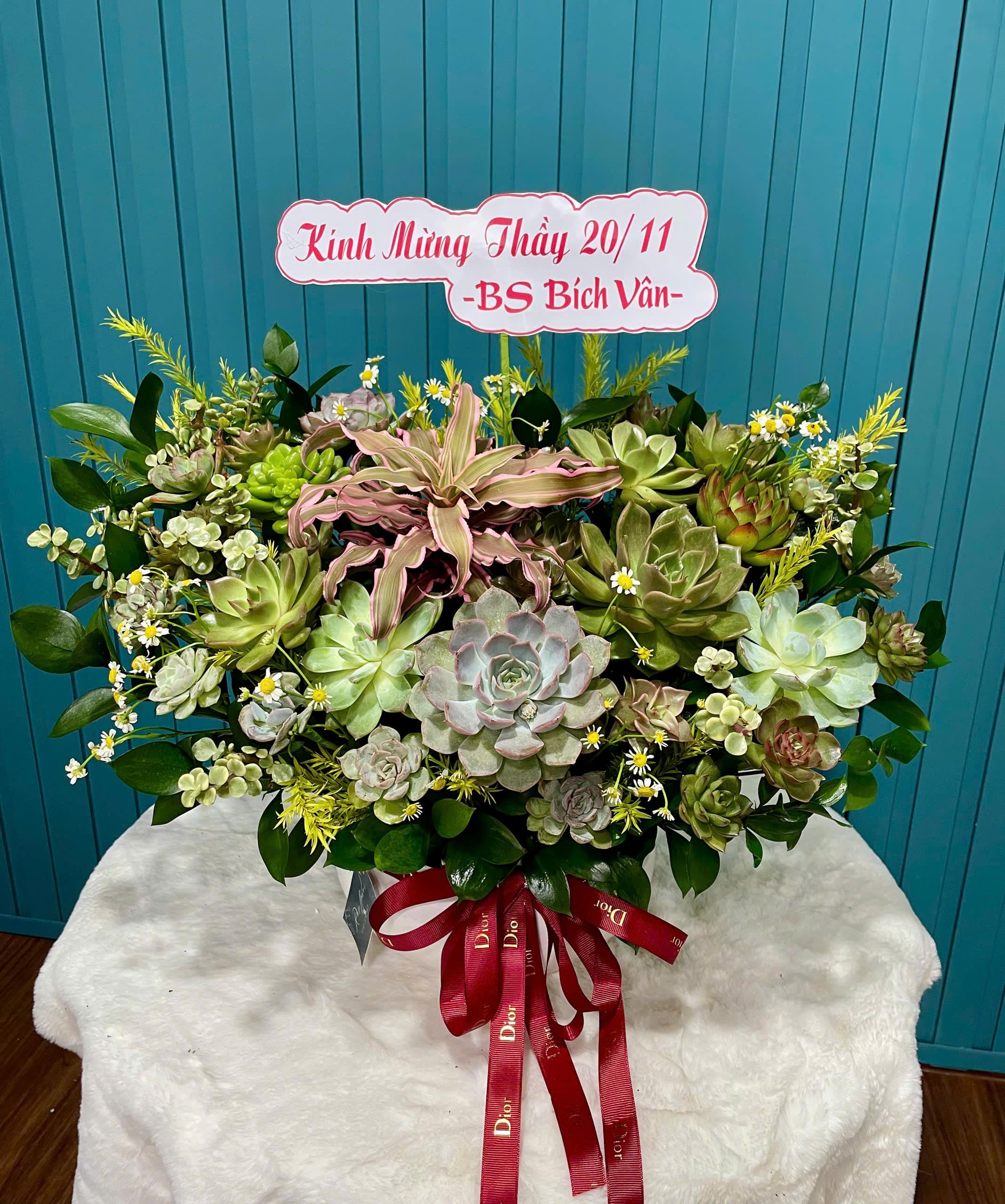 Sen đá chậu sứ 3246