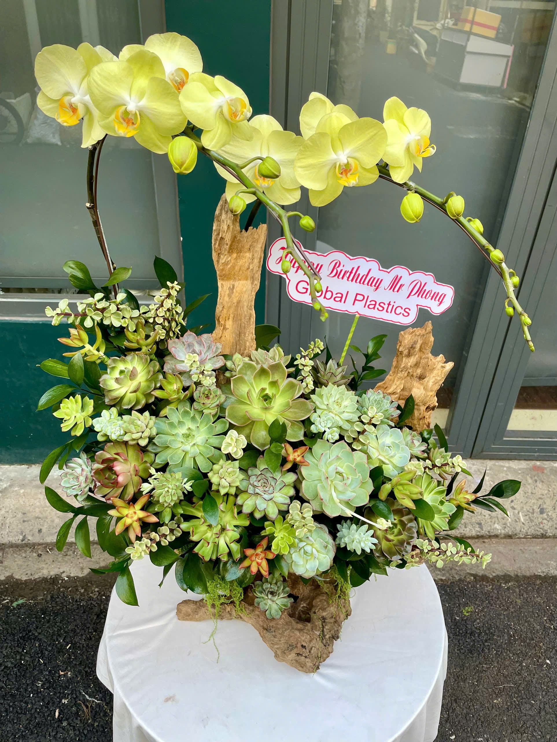 Lũa sen đá phối Lan 3272