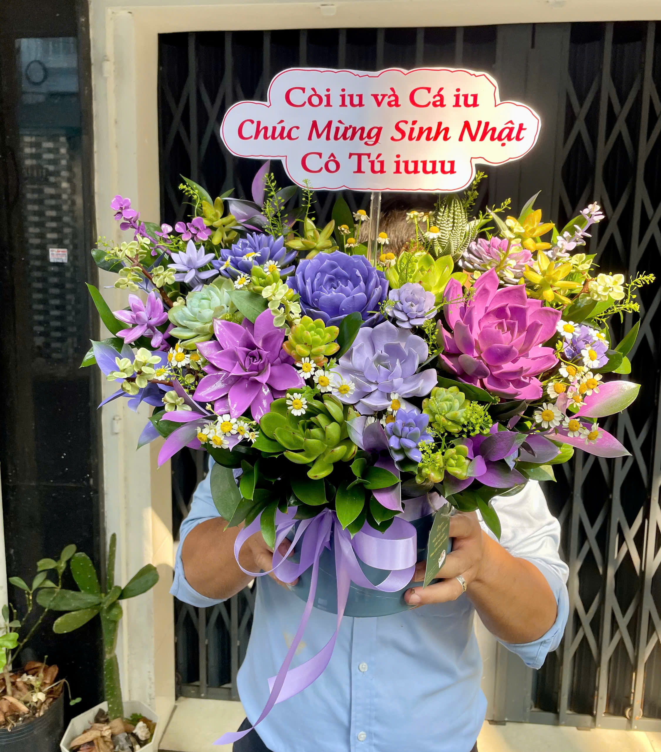 Sen đá 3317