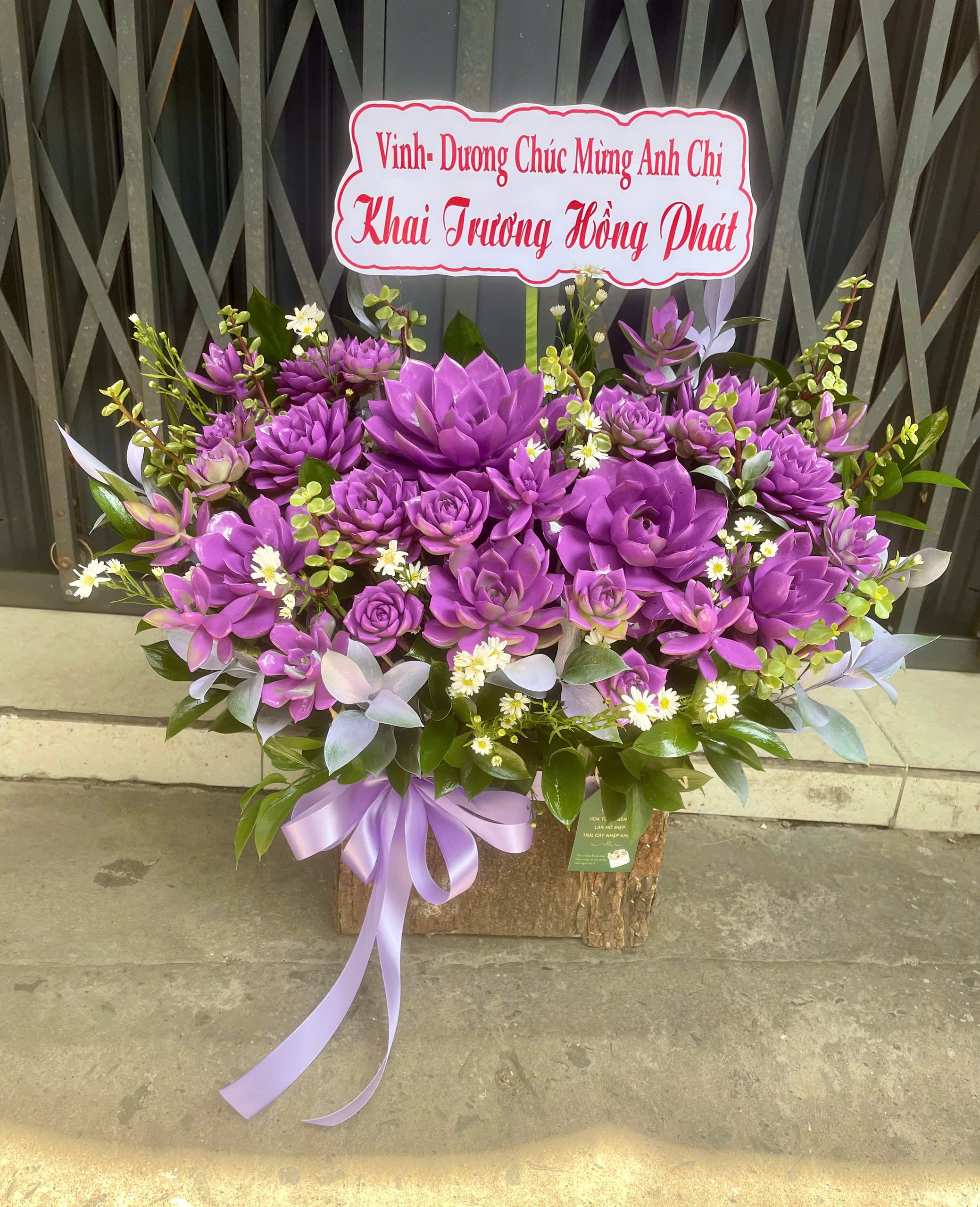 Sen đá 3353