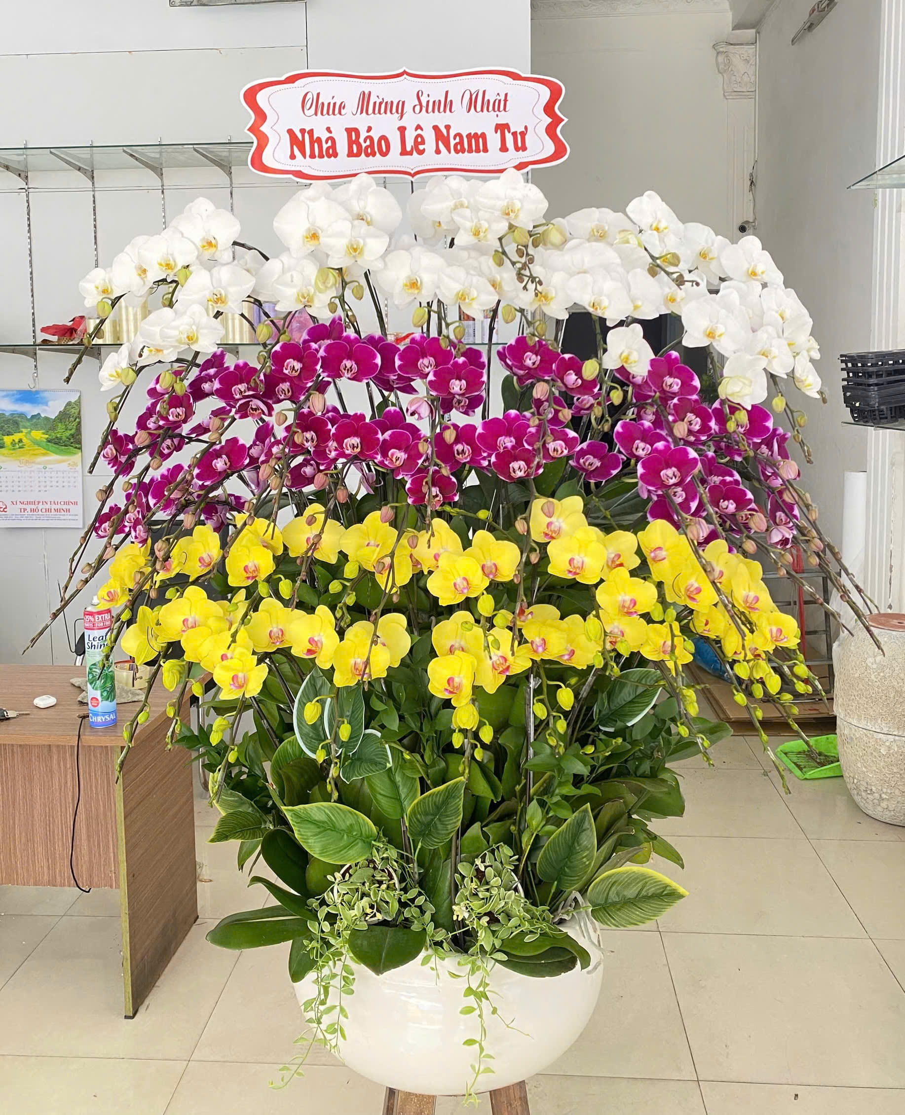 Chậu Lan TK 4095