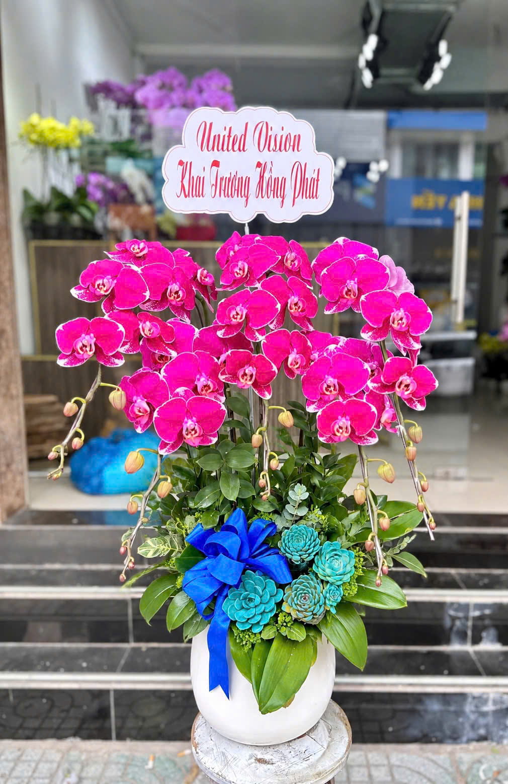 Chậu Lan TK 4100